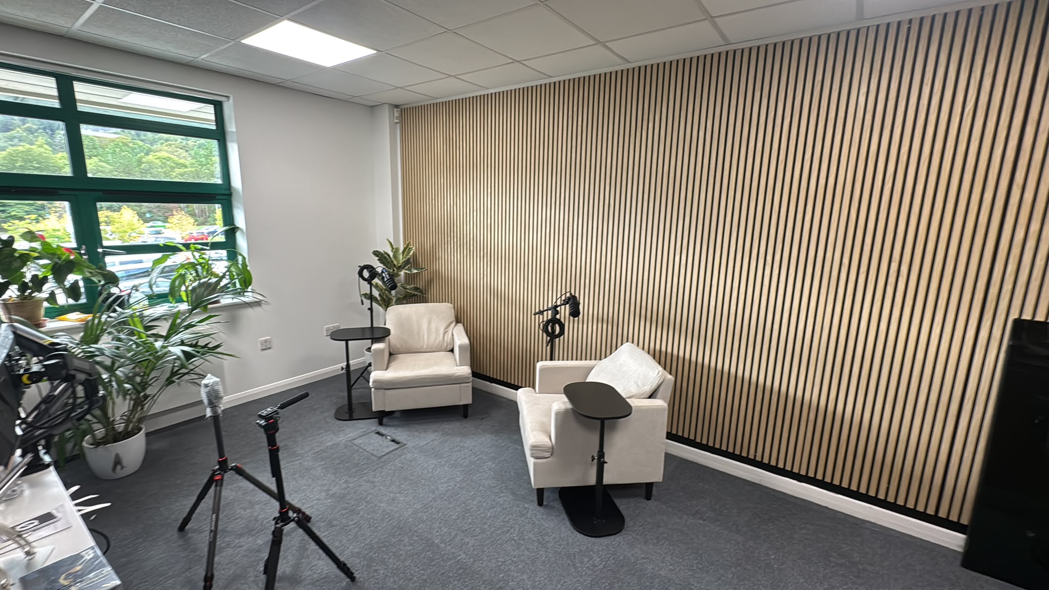 Wide view of the studio with timber acoustic panels and natural light